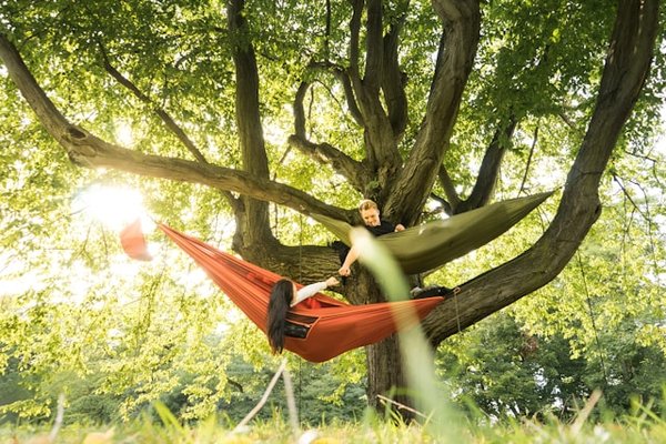 Top 5 des campings abordables proche de Collioure